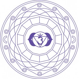 Mandala Indigo